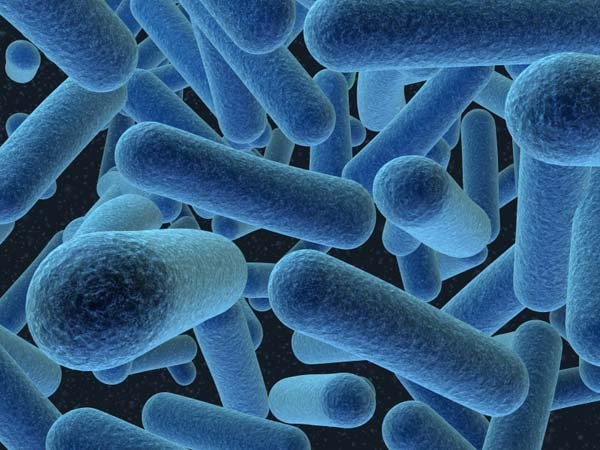 Рациональная антибиотикотерапия - принципы эффективного уничтожения бактерий
