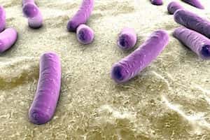 Микобактерии при электродной микроскопии