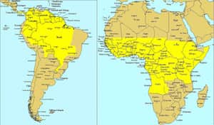 Желтая лихорадка встречается в Южной Америке и Африке