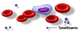 Клинический анализ крови - тромбоциты