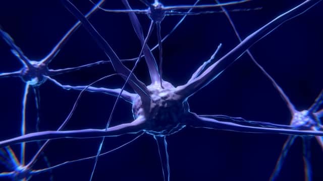 Кофилин восстанавливает нейроны