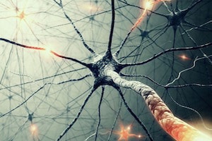Рассеянный склероз - неизлечимо неврологическое заболевание