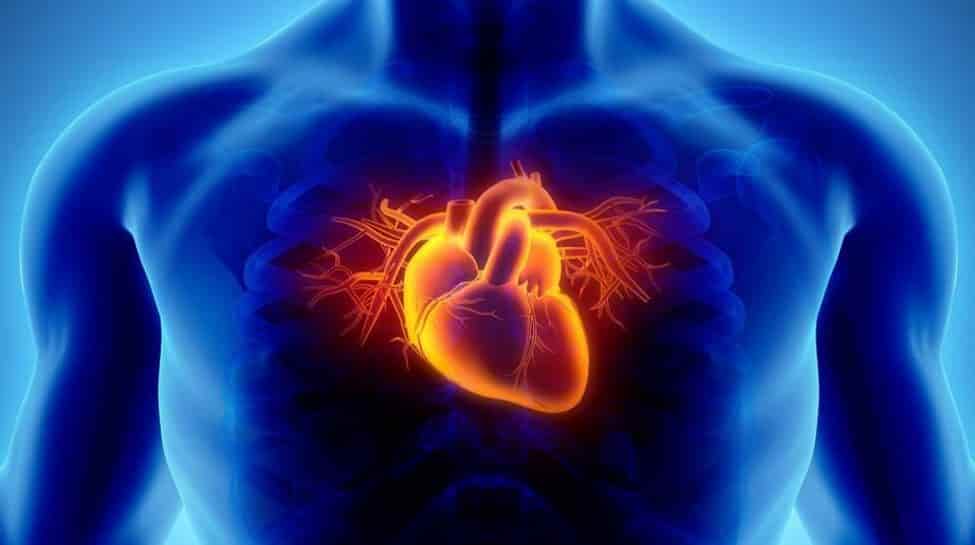 Инфекционный эндокардит - воспаление внутреннего листка сердца